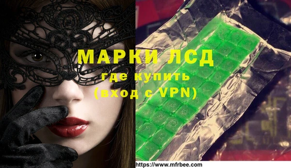 гашик Тайга