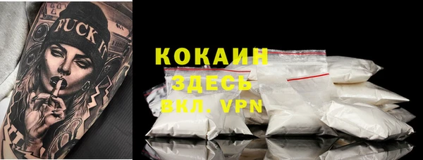 гашик Тайга