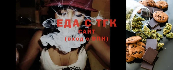 гашик Тайга