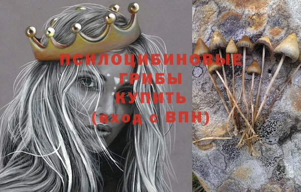 2c-b Ступино