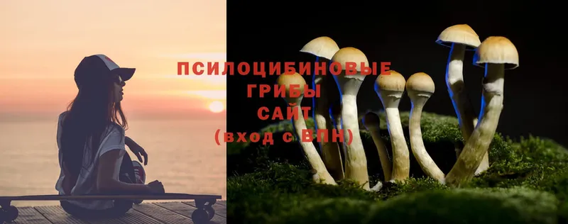 Галлюциногенные грибы GOLDEN TEACHER Северск