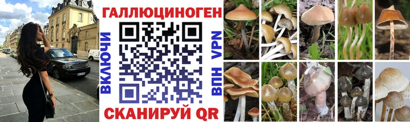 Галлюциногенные грибы мицелий Северск