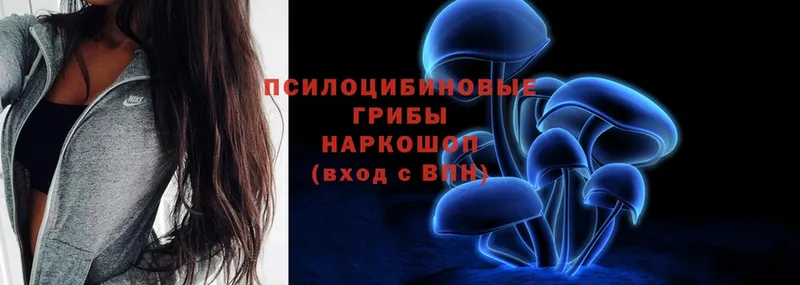 ОМГ ОМГ ссылка  Северск  Галлюциногенные грибы Psilocybe 