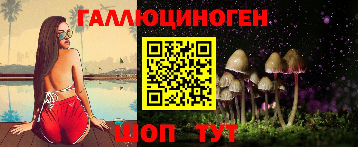 Северск  купить наркотики сайты  Вход с VPN  Псилоцибиновые грибы мухоморы 